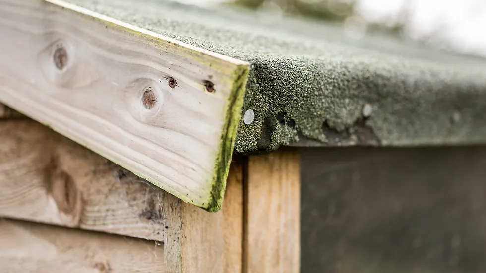 هزینه نگهداری سوله